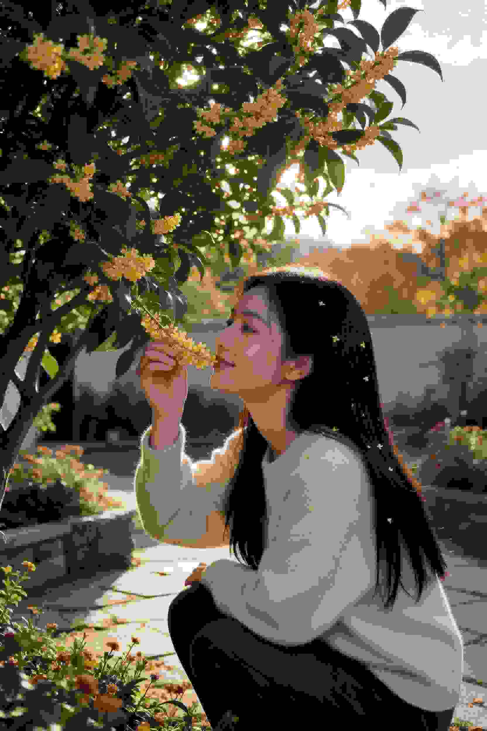 甜美的咬痕全集第2季